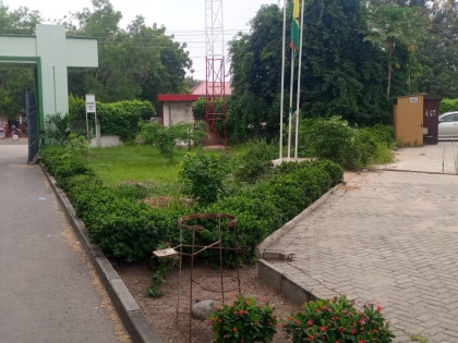 LandScaping of GWMA Lawns