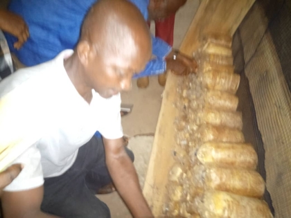 Framers Training On Mushroom Production