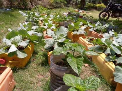 Training of Staff and Farmers on Container Gardening on 28/ 08/2023