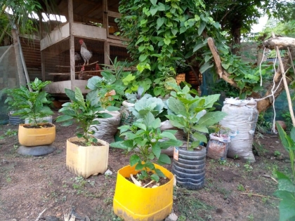 Training of Staff and Farmers on Container Gardening on 28/ 08/2023
